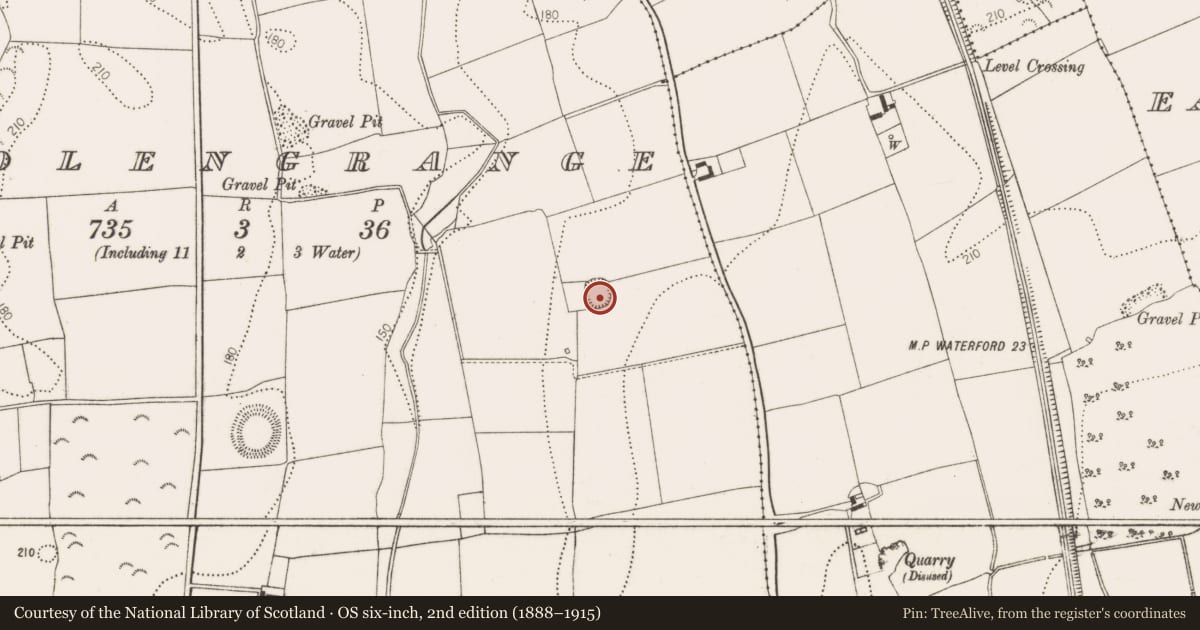 Ordnance Survey six-inch map, 2nd edition (1888–1915) covering the location of Enclosure, Woolengrange, County Kilkenny, with a pin at the register's coordinates