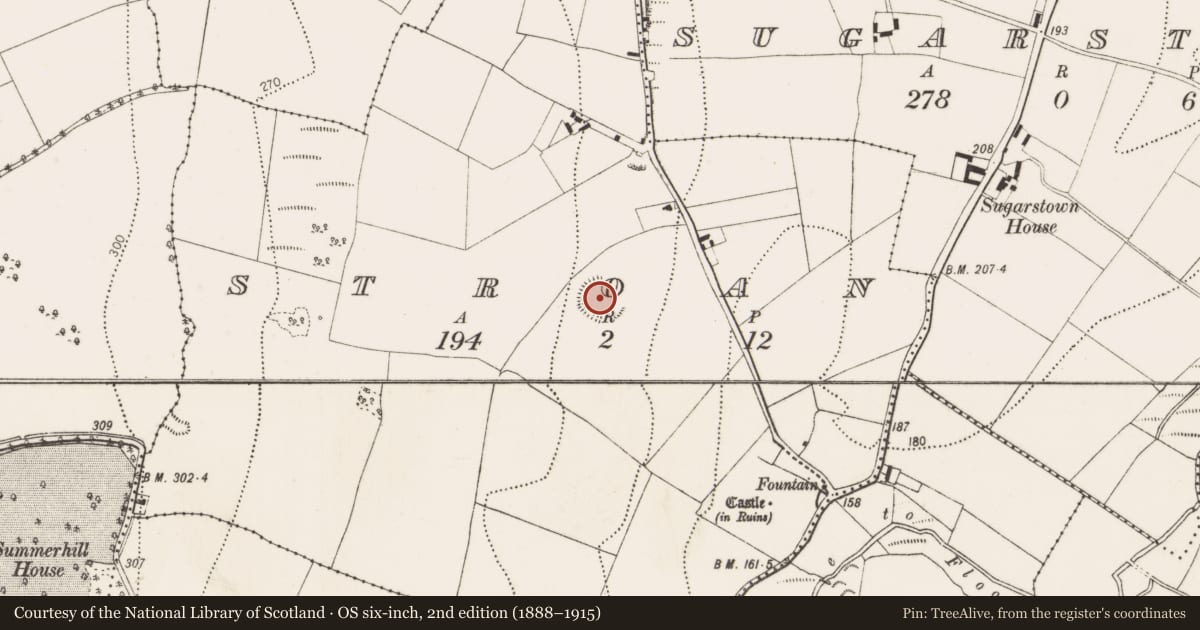 Ordnance Survey six-inch map, 2nd edition (1888–1915) covering the location of Enclosure, Stroan, County Kilkenny, with a pin at the register's coordinates