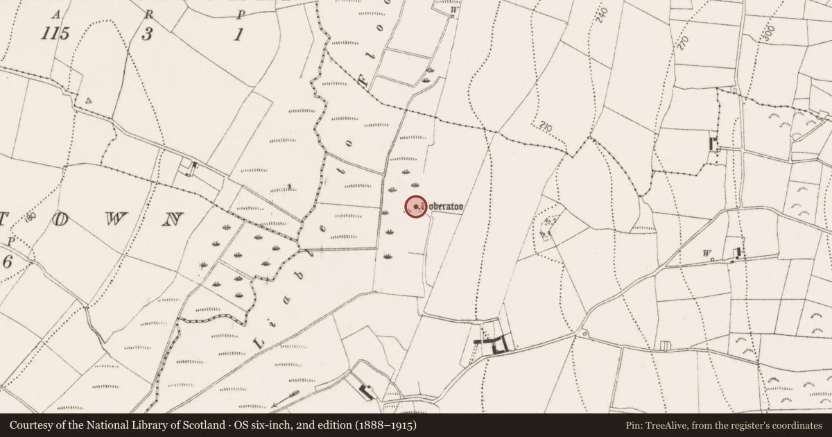Ordnance Survey six-inch map, 2nd edition (1888–1915) covering the location of Ritual site - holy well, Castlegarden, County Kilkenny, with a pin at the register's coordinates