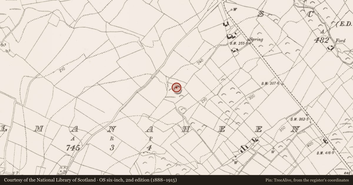 Ordnance Survey six-inch map, 2nd edition (1888–1915) covering the location of Enclosure, Kilmanaheen, County Kilkenny, with a pin at the register's coordinates
