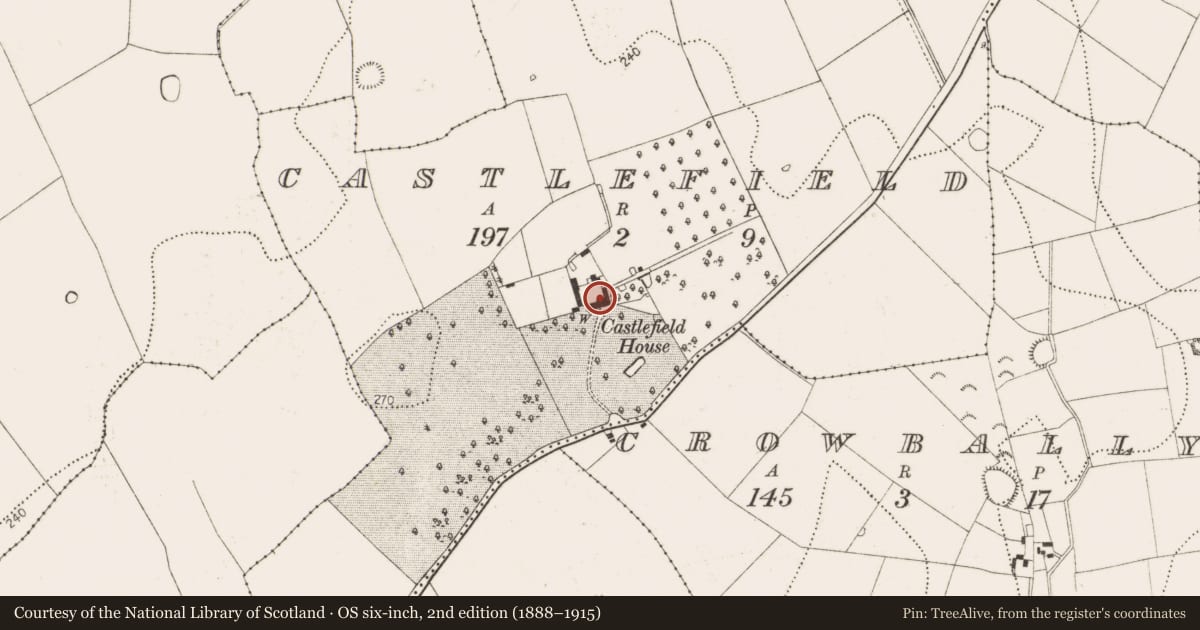 Ordnance Survey six-inch map, 2nd edition (1888–1915) covering the location of Castle - unclassified, Castlefield, County Kilkenny, with a pin at the register's coordinates