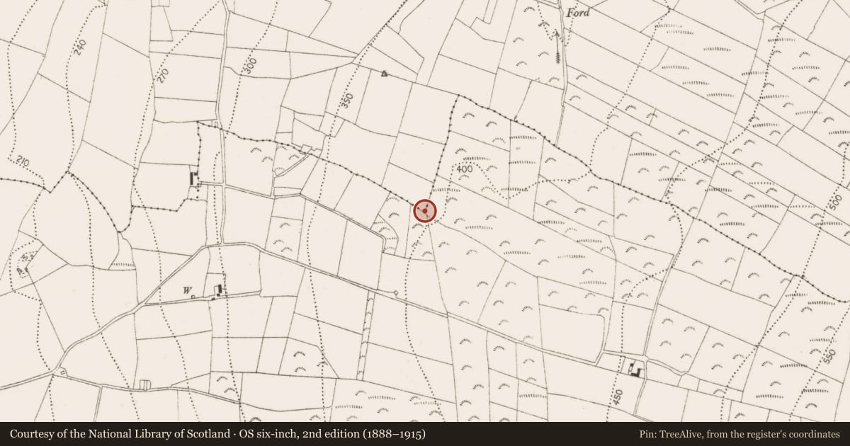Ordnance Survey six-inch map, 2nd edition (1888–1915) covering the location of Sweathouse, Castlegarden, County Kilkenny, with a pin at the register's coordinates
