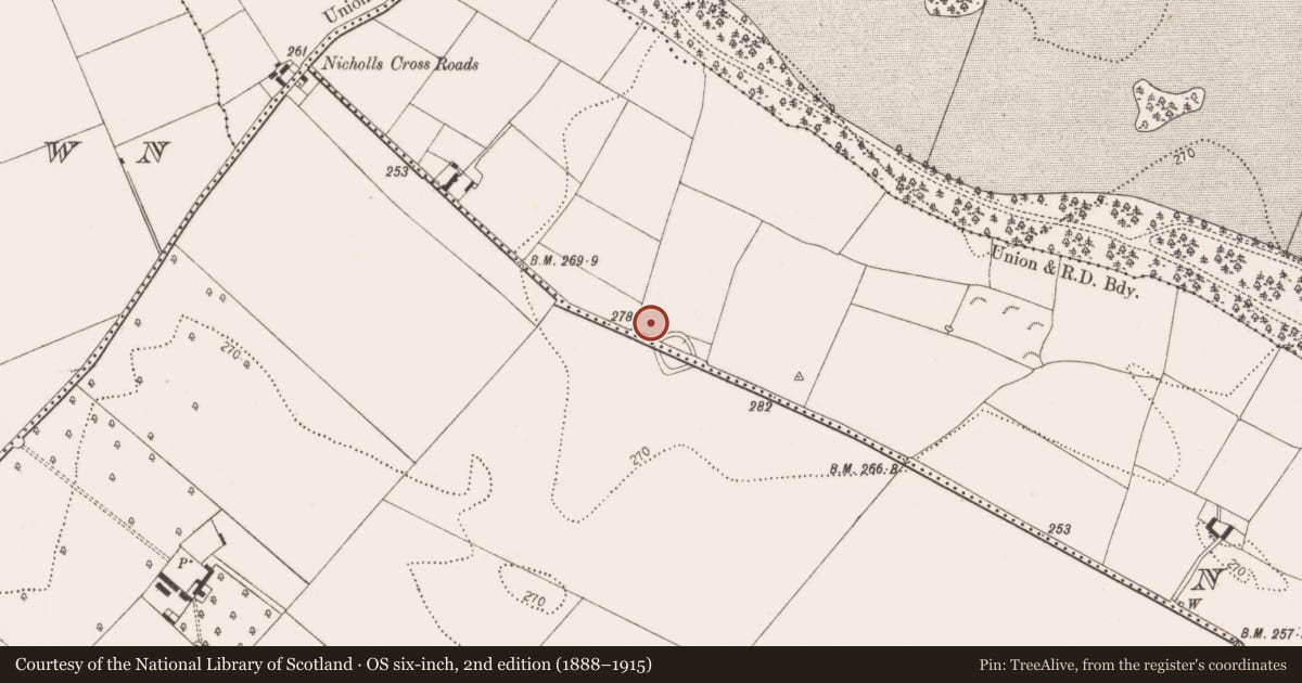 Ordnance Survey six-inch map, 2nd edition (1888–1915) covering the location of Burnt mound, Neigham, County Kilkenny, with a pin at the register's coordinates