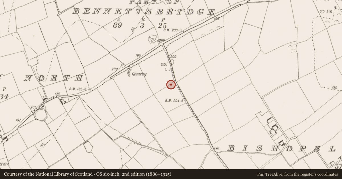 Ordnance Survey six-inch map, 2nd edition (1888–1915) covering the location of Burial, Boheragaddy, County Kilkenny, with a pin at the register's coordinates