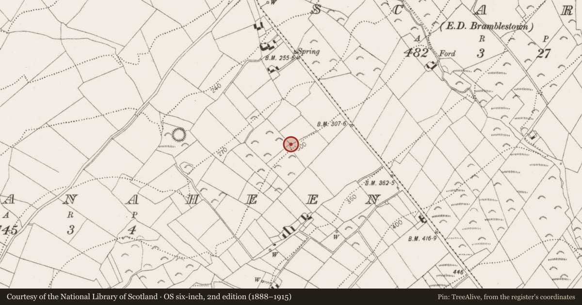Ordnance Survey six-inch map, 2nd edition (1888–1915) covering the location of Burnt mound, Kilmanaheen, County Kilkenny, with a pin at the register's coordinates