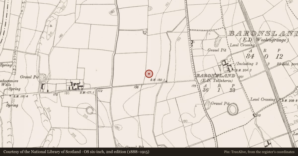 Ordnance Survey six-inch map, 2nd edition (1888–1915) covering the location of Ring-ditch, Woolengrange, County Kilkenny, with a pin at the register's coordinates