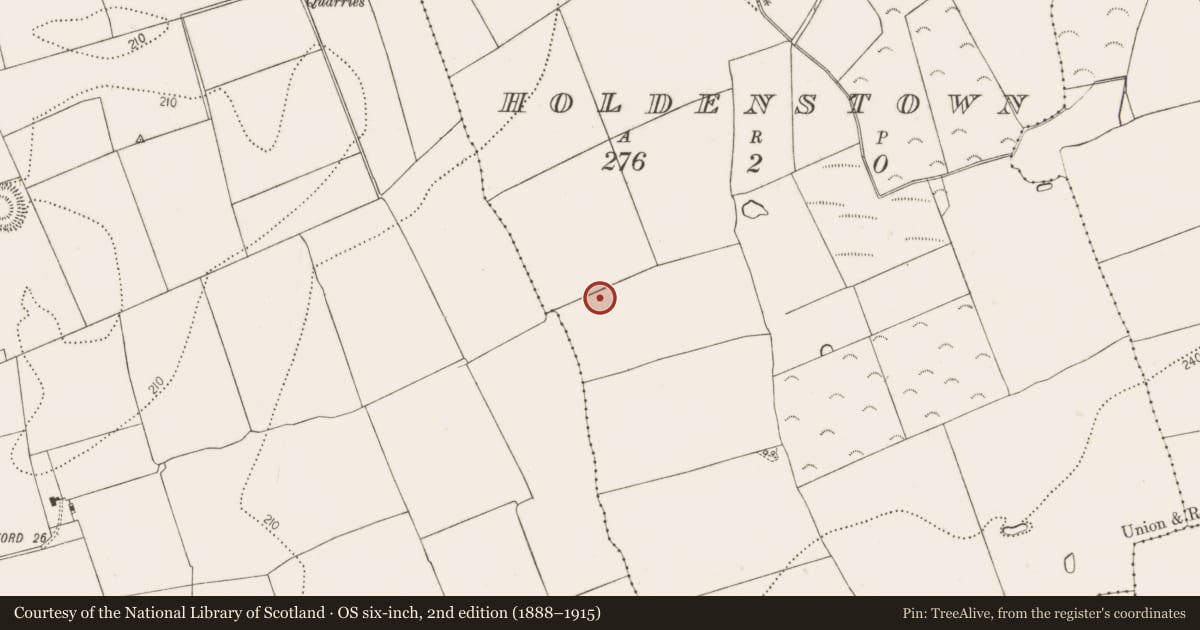 Ordnance Survey six-inch map, 2nd edition (1888–1915) covering the location of Enclosure, Holdenstown, County Kilkenny, with a pin at the register's coordinates