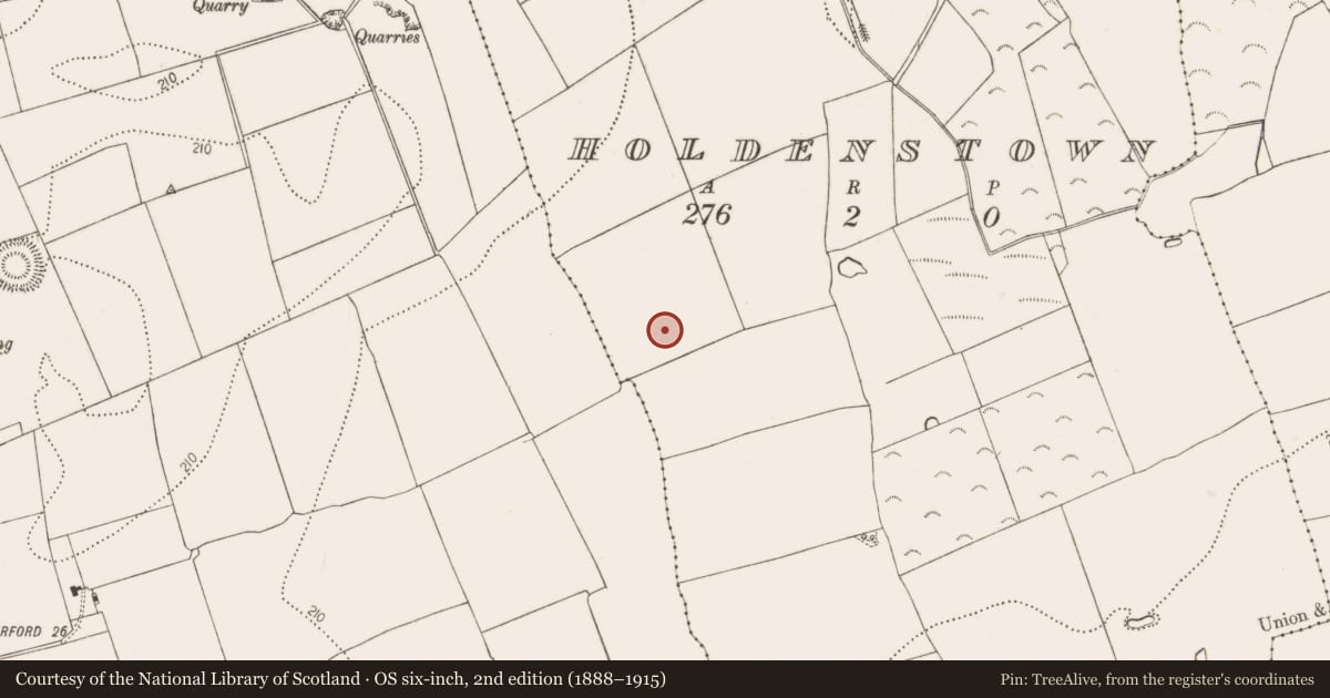 Ordnance Survey six-inch map, 2nd edition (1888–1915) covering the location of Ring-ditch, Holdenstown, County Kilkenny, with a pin at the register's coordinates