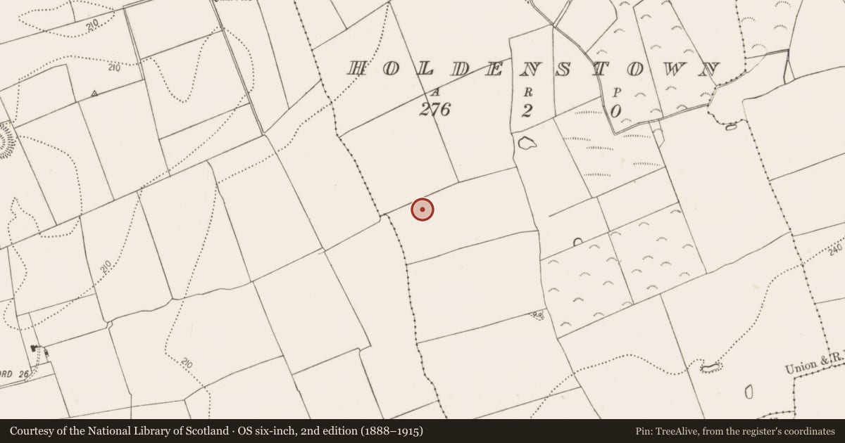 Ordnance Survey six-inch map, 2nd edition (1888–1915) covering the location of Ring-ditch, Holdenstown, County Kilkenny, with a pin at the register's coordinates