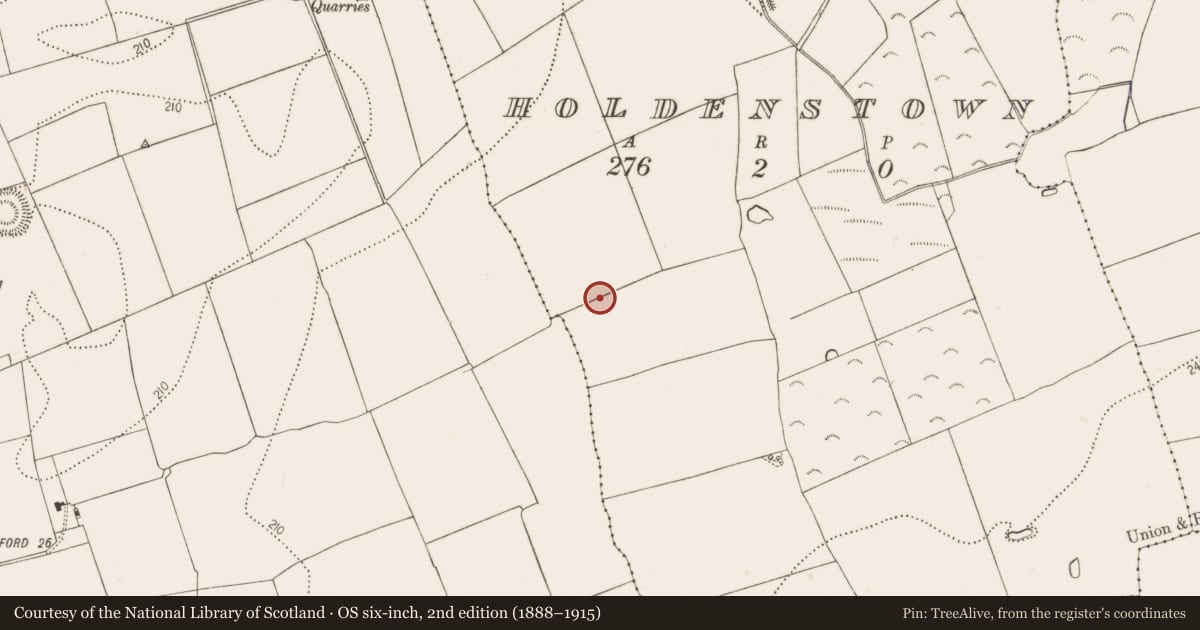 Ordnance Survey six-inch map, 2nd edition (1888–1915) covering the location of Ring-ditch, Holdenstown, County Kilkenny, with a pin at the register's coordinates