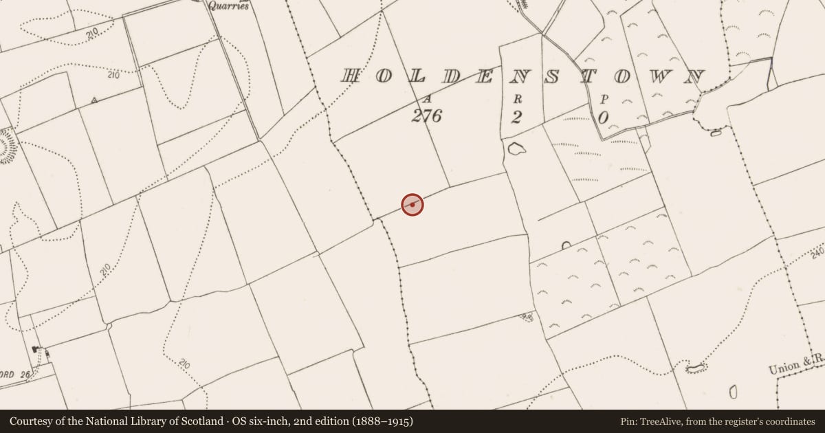 Ordnance Survey six-inch map, 2nd edition (1888–1915) covering the location of Ring-ditch, Holdenstown, County Kilkenny, with a pin at the register's coordinates