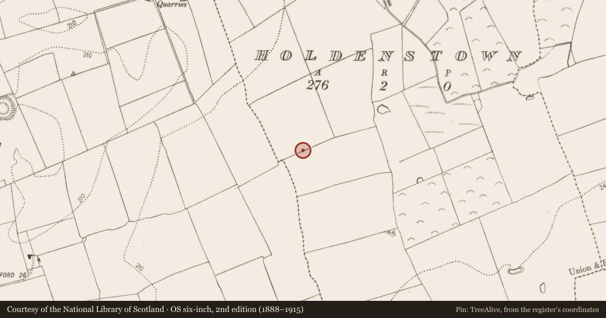 Ordnance Survey six-inch map, 2nd edition (1888–1915) covering the location of Burial, Holdenstown, County Kilkenny, with a pin at the register's coordinates