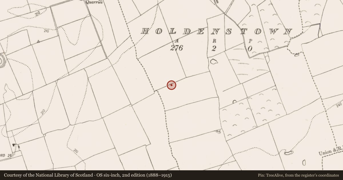 Ordnance Survey six-inch map, 2nd edition (1888–1915) covering the location of Cremation pit, Holdenstown, County Kilkenny, with a pin at the register's coordinates