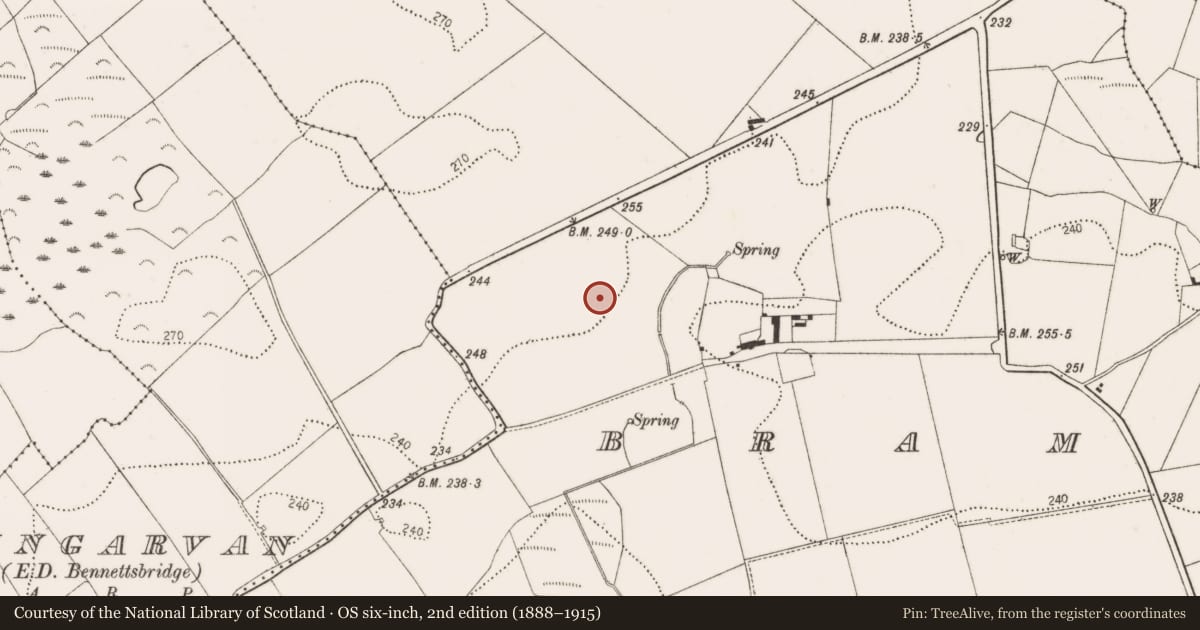 Ordnance Survey six-inch map, 2nd edition (1888–1915) covering the location of Enclosure, Bramblestown, County Kilkenny, with a pin at the register's coordinates