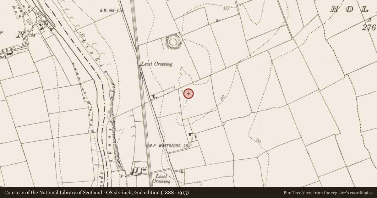 Ordnance Survey six-inch map, 2nd edition (1888–1915) covering the location of Field system, Dunbell Big, County Kilkenny, with a pin at the register's coordinates