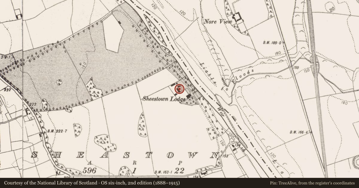 Ordnance Survey six-inch map, 2nd edition (1888–1915) covering the location of Armorial plaque (present location), Sheastown, County Kilkenny, with a pin at the register's coordinates