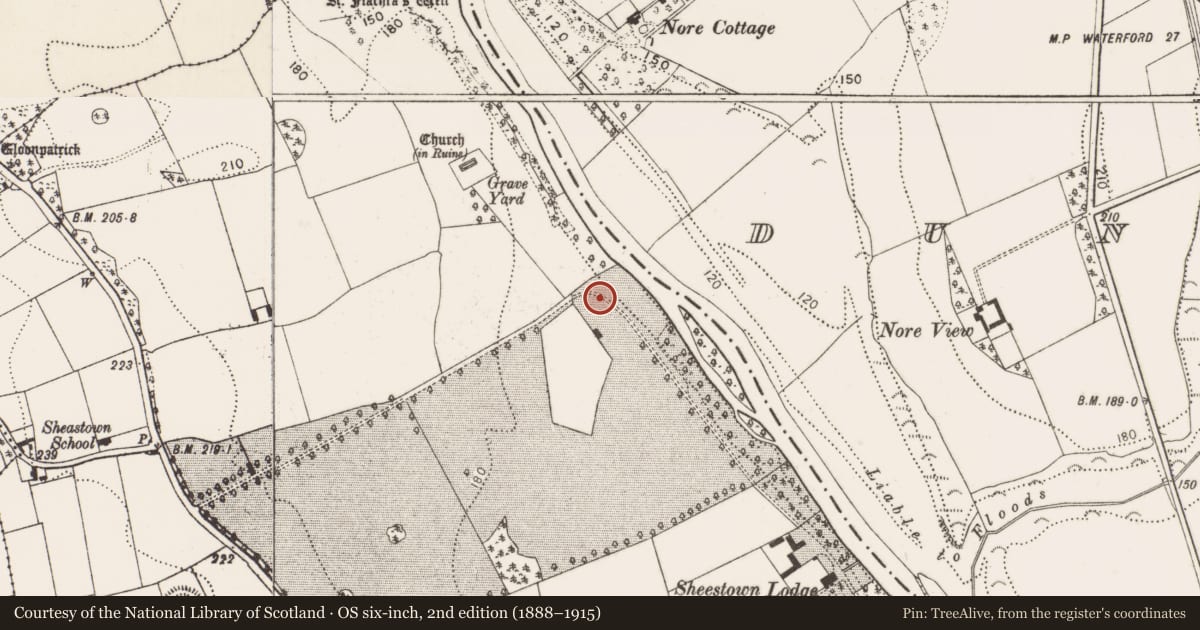 Ordnance Survey six-inch map, 2nd edition (1888–1915) covering the location of Castle - unclassified, Sheastown, County Kilkenny, with a pin at the register's coordinates