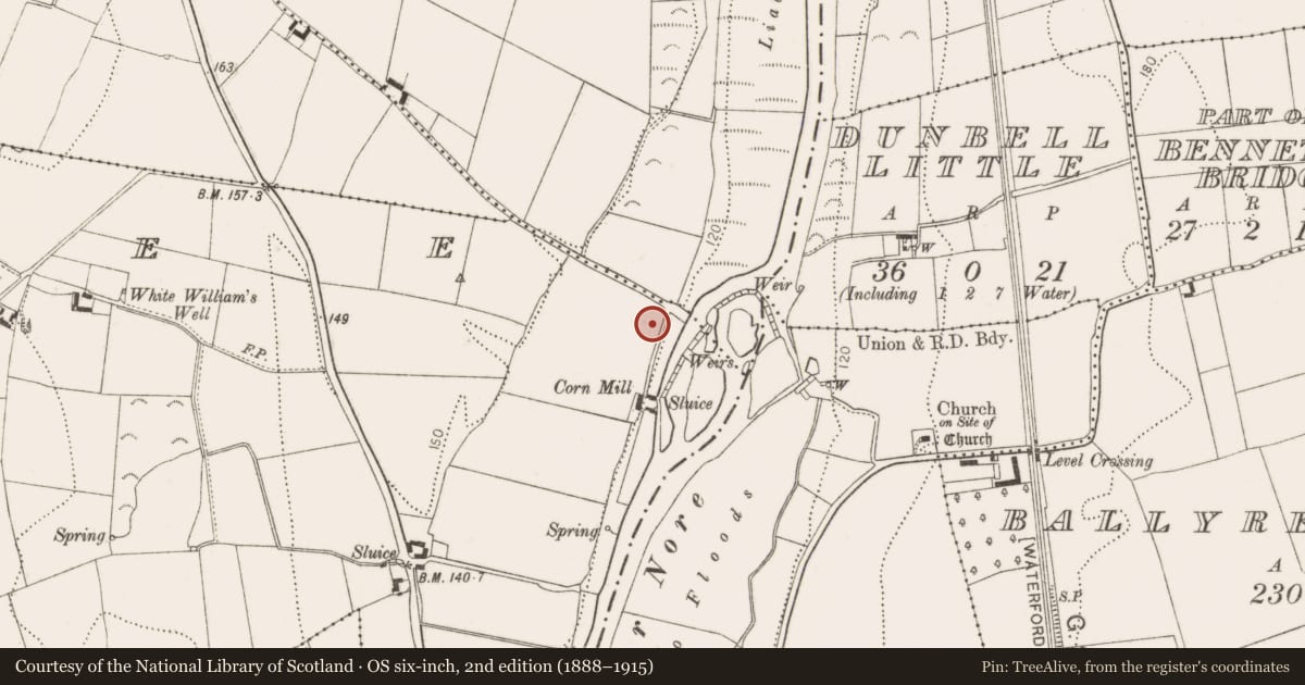 Ordnance Survey six-inch map, 2nd edition (1888–1915) covering the location of Ring-ditch, Kilree, County Kilkenny, with a pin at the register's coordinates