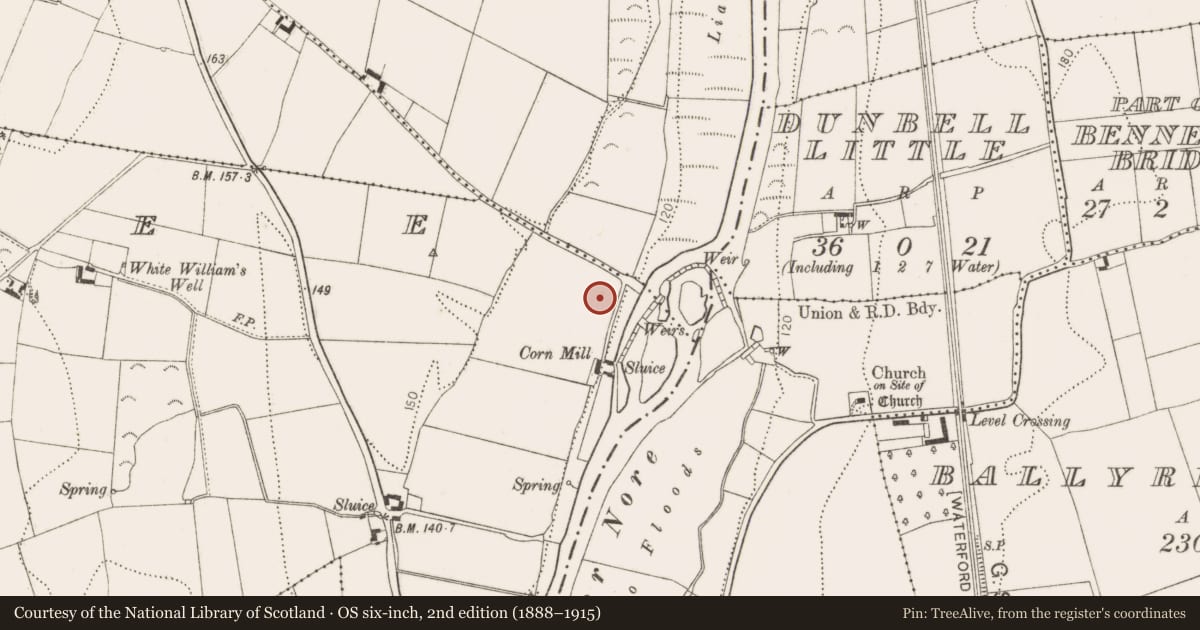 Ordnance Survey six-inch map, 2nd edition (1888–1915) covering the location of Enclosure, Kilree, County Kilkenny, with a pin at the register's coordinates