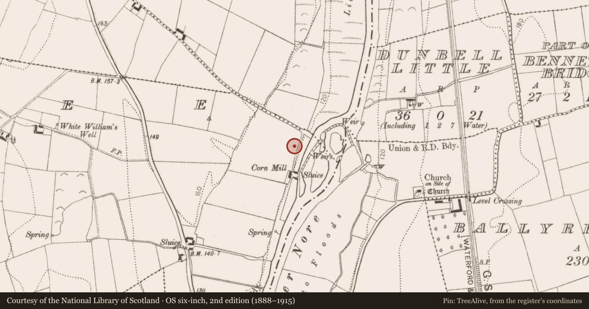 Ordnance Survey six-inch map, 2nd edition (1888–1915) covering the location of Burial, Kilree, County Kilkenny, with a pin at the register's coordinates