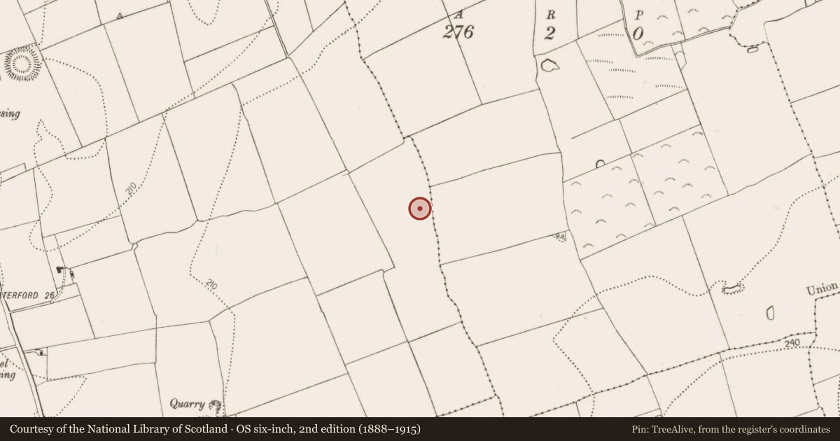 Ordnance Survey six-inch map, 2nd edition (1888–1915) covering the location of House - Bronze Age, Dunbell Big, County Kilkenny, with a pin at the register's coordinates