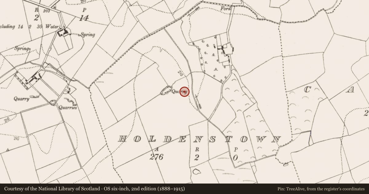 Ordnance Survey six-inch map, 2nd edition (1888–1915) covering the location of Excavation - miscellaneous, Holdenstown, County Kilkenny, with a pin at the register's coordinates