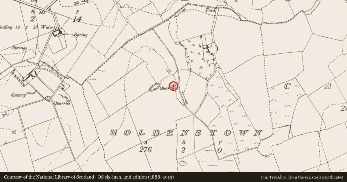 Ordnance Survey six-inch map, 2nd edition (1888–1915) covering the location of Burial ground, Holdenstown, County Kilkenny, with a pin at the register's coordinates
