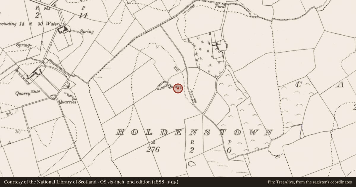 Ordnance Survey six-inch map, 2nd edition (1888–1915) covering the location of Kiln, Holdenstown, County Kilkenny, with a pin at the register's coordinates