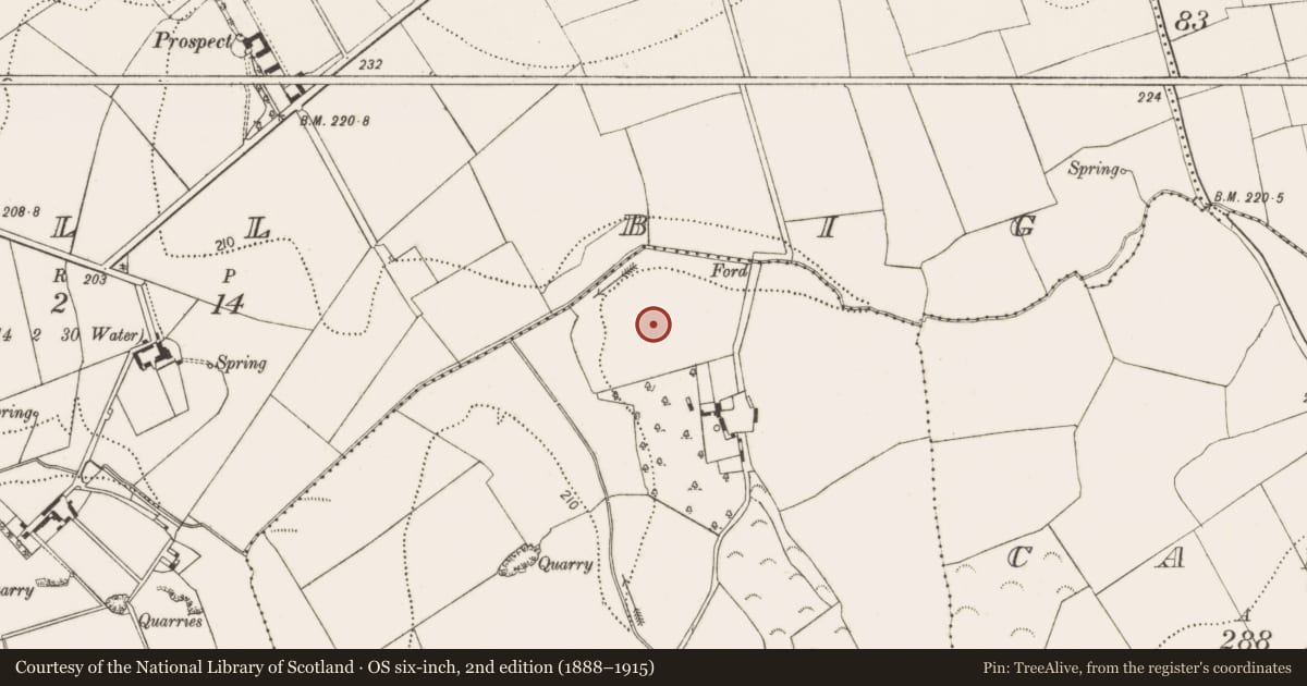 Ordnance Survey six-inch map, 2nd edition (1888–1915) covering the location of Excavation - miscellaneous, Holdenstown, County Kilkenny, with a pin at the register's coordinates