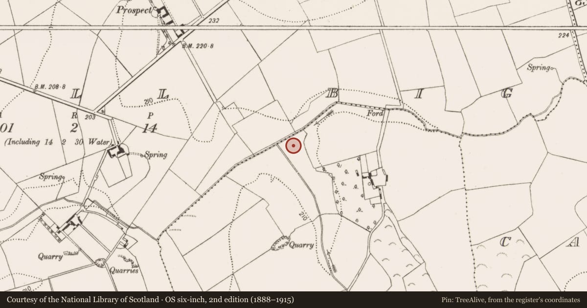 Ordnance Survey six-inch map, 2nd edition (1888–1915) covering the location of Fulacht fia, Holdenstown, County Kilkenny, with a pin at the register's coordinates