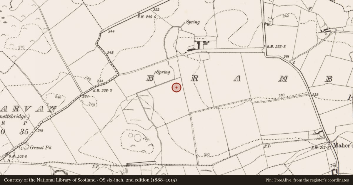 Ordnance Survey six-inch map, 2nd edition (1888–1915) covering the location of Enclosure, Bramblestown, County Kilkenny, with a pin at the register's coordinates