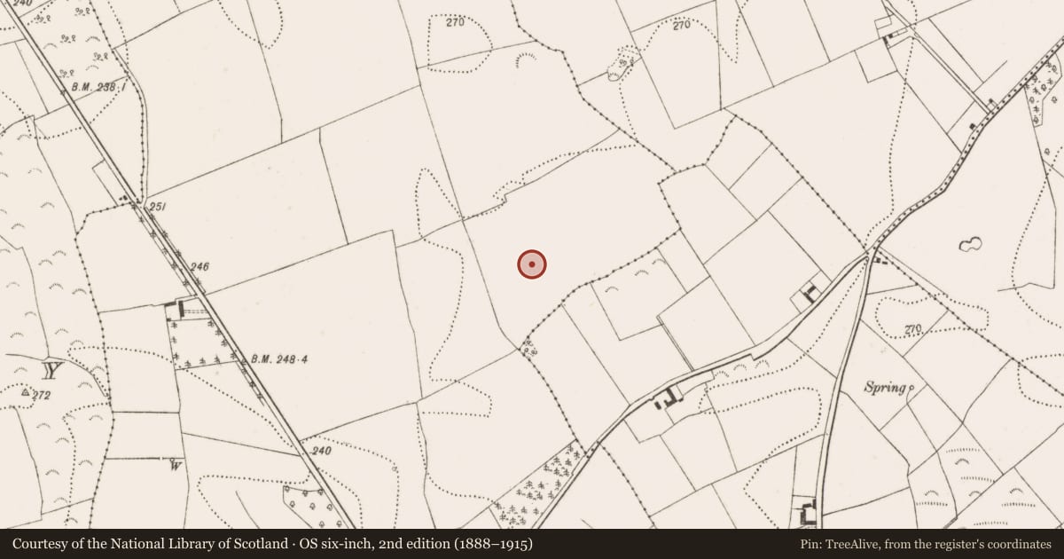 Ordnance Survey six-inch map, 2nd edition (1888–1915) covering the location of Enclosure, Cloghala, County Kilkenny, with a pin at the register's coordinates