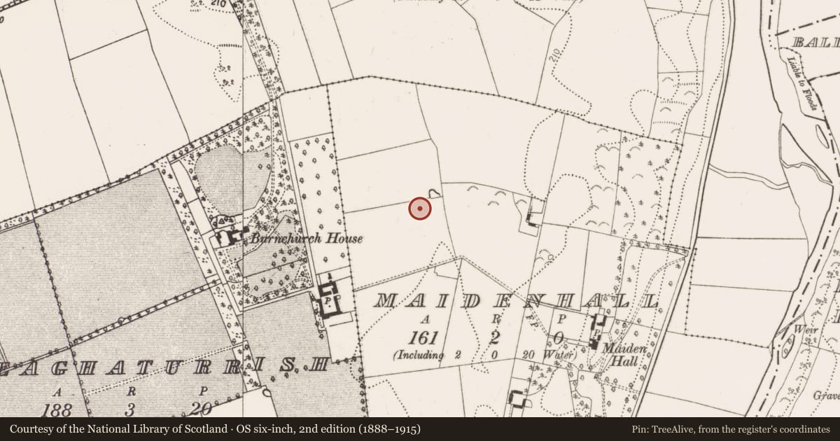 Ordnance Survey six-inch map, 2nd edition (1888–1915) covering the location of Concentric enclosure, Maidenhall, County Kilkenny, with a pin at the register's coordinates
