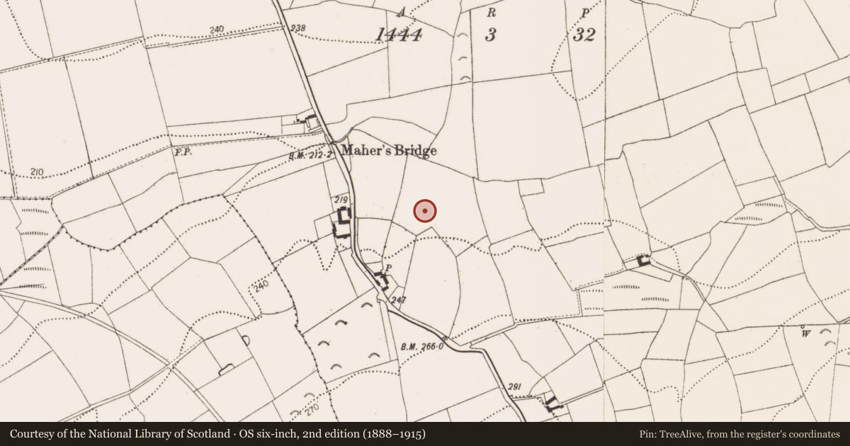 Ordnance Survey six-inch map, 2nd edition (1888–1915) covering the location of Enclosure - large enclosure, Bramblestown, County Kilkenny, with a pin at the register's coordinates