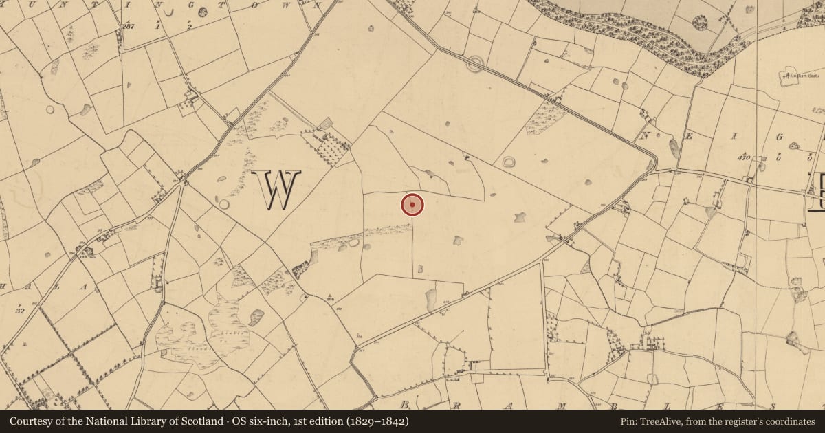 Ordnance Survey six-inch map, 1st edition (1829–1842) covering the location of Enclosure, Bramblestown, County Kilkenny, with a pin at the register's coordinates