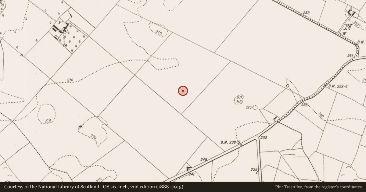 Ordnance Survey six-inch map, 2nd edition (1888–1915) covering the location of Enclosure, Bramblestown, County Kilkenny, with a pin at the register's coordinates