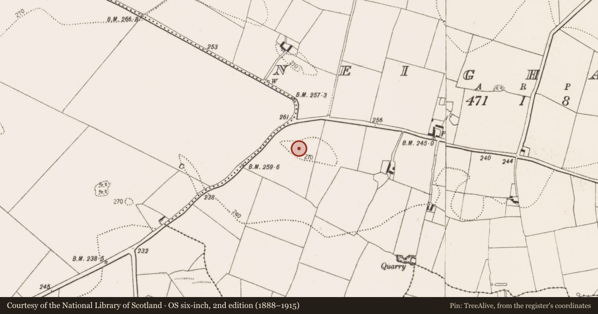 Ordnance Survey six-inch map, 2nd edition (1888–1915) covering the location of Enclosure, Neigham, County Kilkenny, with a pin at the register's coordinates