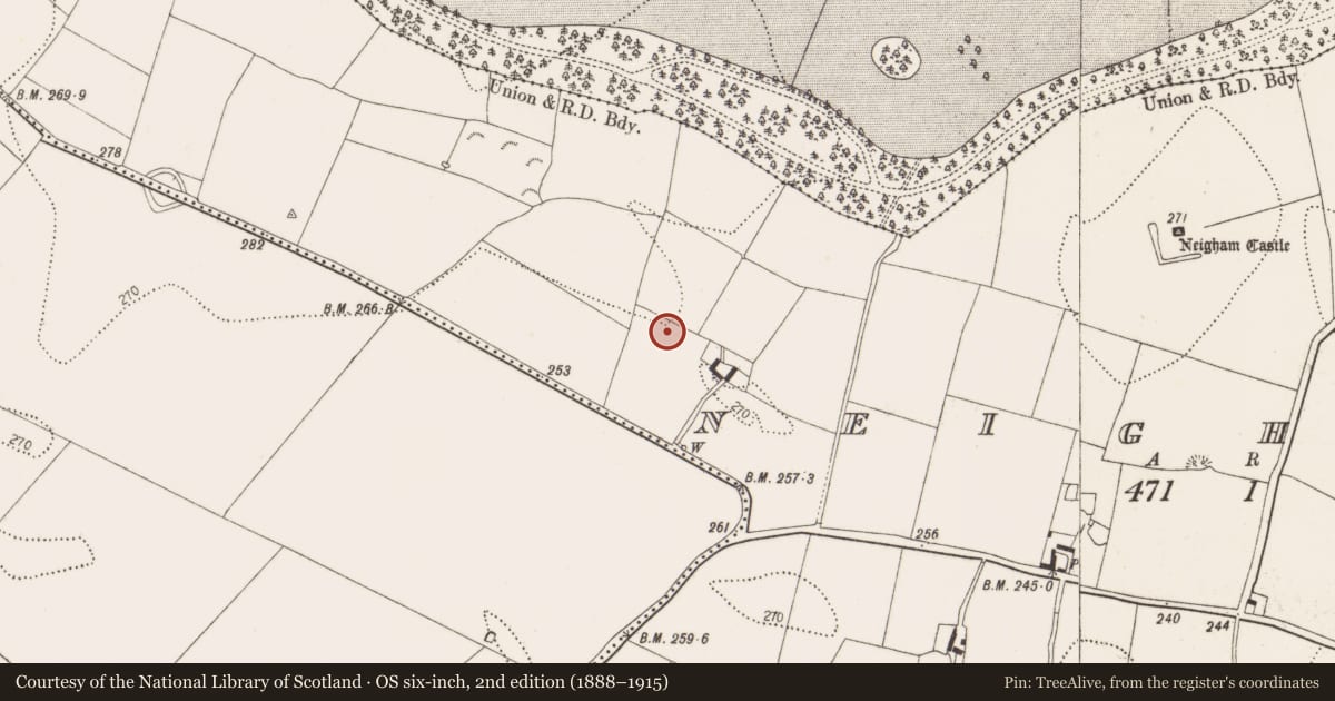Ordnance Survey six-inch map, 2nd edition (1888–1915) covering the location of Enclosure, Neigham, County Kilkenny, with a pin at the register's coordinates
