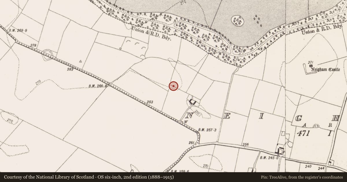 Ordnance Survey six-inch map, 2nd edition (1888–1915) covering the location of Enclosure, Neigham, County Kilkenny, with a pin at the register's coordinates