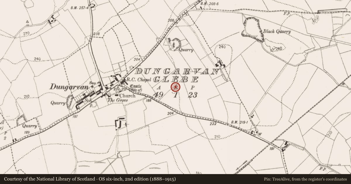 Ordnance Survey six-inch map, 2nd edition (1888–1915) covering the location of Enclosure, Dungarvan Glebe, County Kilkenny, with a pin at the register's coordinates