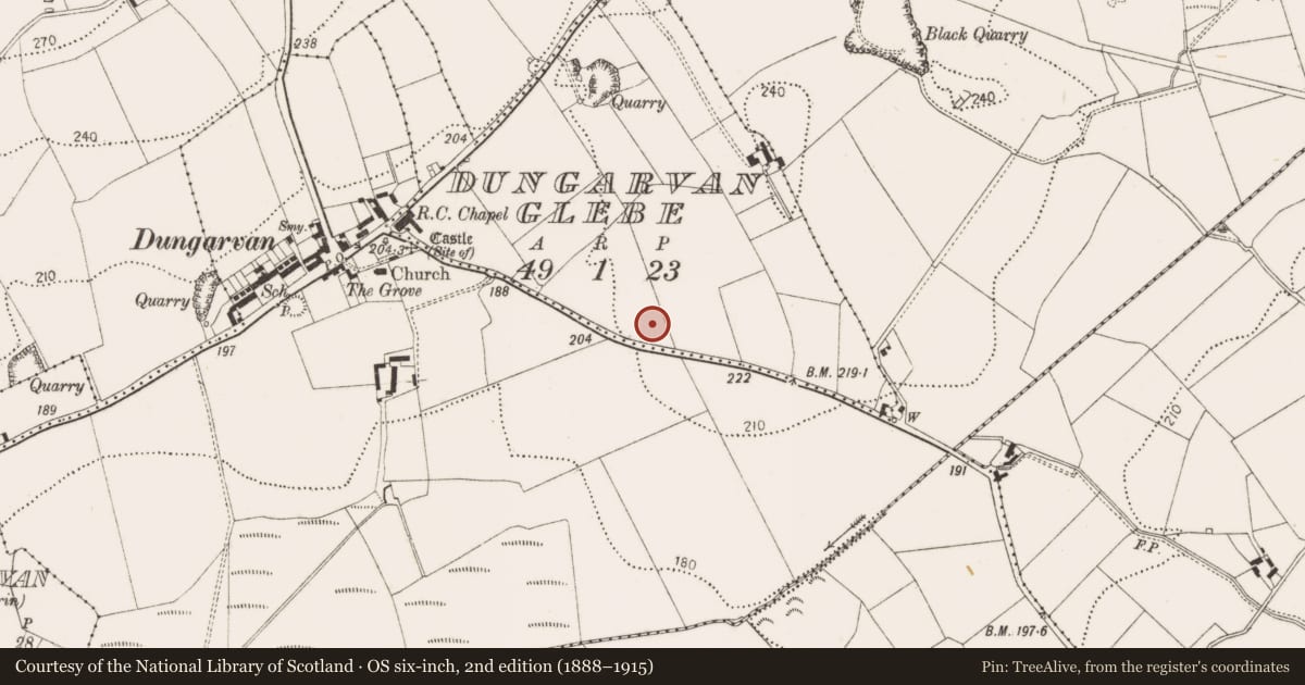 Ordnance Survey six-inch map, 2nd edition (1888–1915) covering the location of Enclosure, Dungarvan Glebe, County Kilkenny, with a pin at the register's coordinates