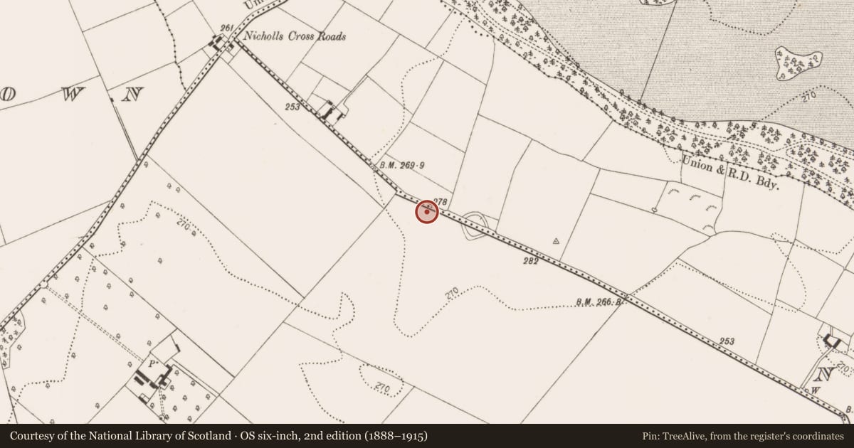 Ordnance Survey six-inch map, 2nd edition (1888–1915) covering the location of Enclosure, Bramblestown, County Kilkenny, with a pin at the register's coordinates