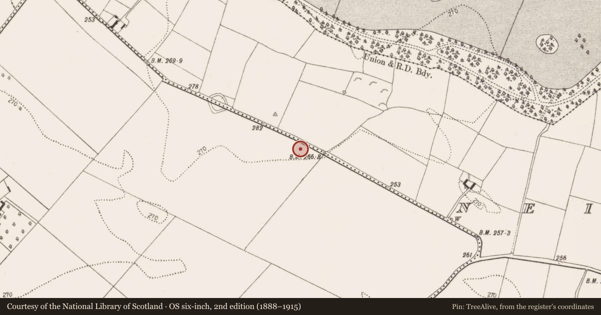 Ordnance Survey six-inch map, 2nd edition (1888–1915) covering the location of Enclosure, Bramblestown, Neigham, County Kilkenny, with a pin at the register's coordinates