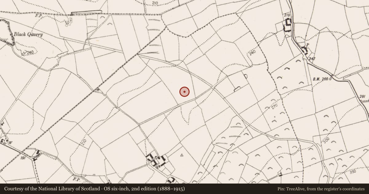 Ordnance Survey six-inch map, 2nd edition (1888–1915) covering the location of Concentric enclosure, Scart, County Kilkenny, with a pin at the register's coordinates
