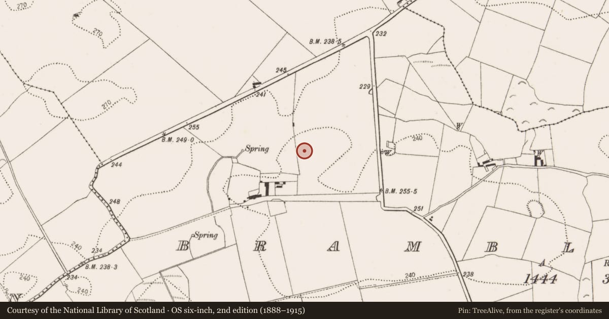 Ordnance Survey six-inch map, 2nd edition (1888–1915) covering the location of Enclosure, Bramblestown, County Kilkenny, with a pin at the register's coordinates