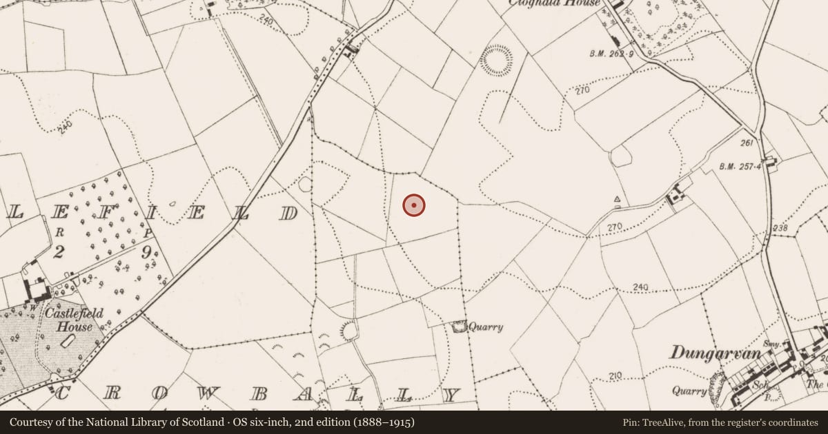 Ordnance Survey six-inch map, 2nd edition (1888–1915) covering the location of Enclosure, Crowbally, County Kilkenny, with a pin at the register's coordinates