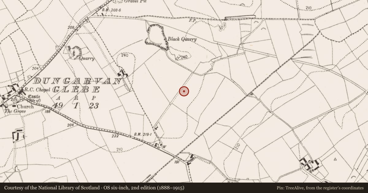 Ordnance Survey six-inch map, 2nd edition (1888–1915) covering the location of Enclosure, Dungarvan, County Kilkenny, with a pin at the register's coordinates