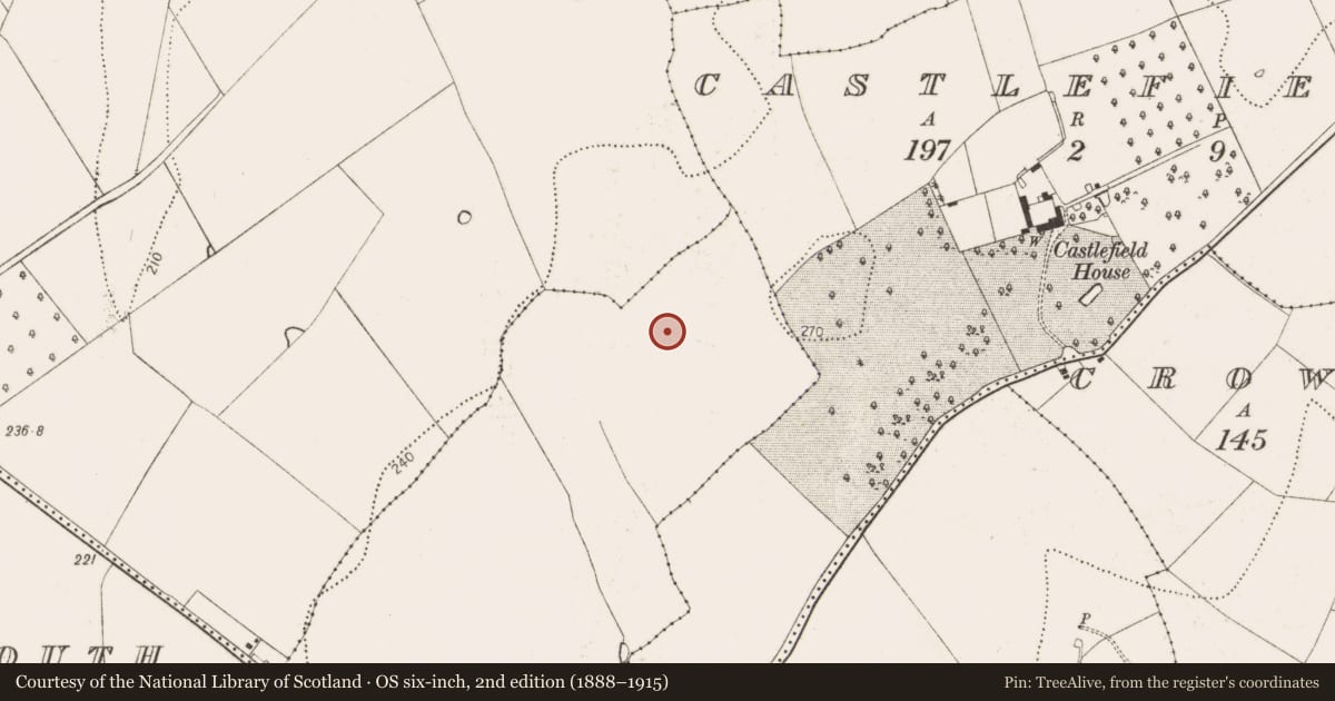 Ordnance Survey six-inch map, 2nd edition (1888–1915) covering the location of Enclosure, Tullaherin, County Kilkenny, with a pin at the register's coordinates