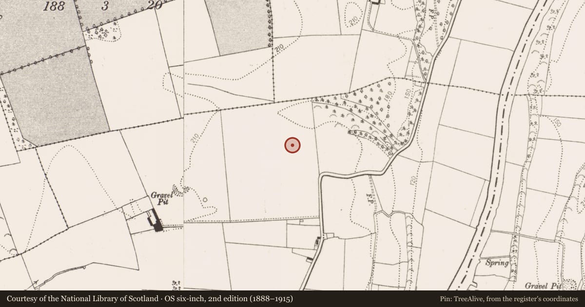 Ordnance Survey six-inch map, 2nd edition (1888–1915) covering the location of Enclosure, Annamult, County Kilkenny, with a pin at the register's coordinates