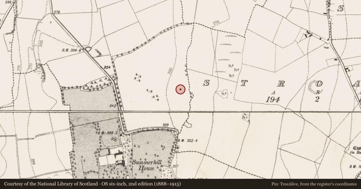 Ordnance Survey six-inch map, 2nd edition (1888–1915) covering the location of Enclosure, Kilbline, County Kilkenny, with a pin at the register's coordinates